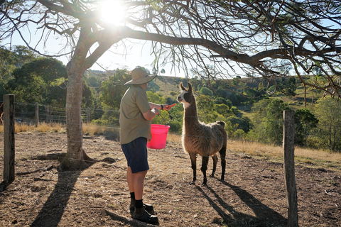 The Llama Farm - Accommodation Fremantle 2