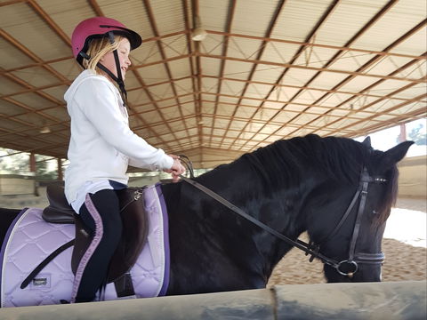 The Equine Club - Accommodation Fremantle 1