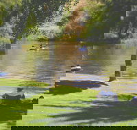 The Lions Junction Park - Tumut - Accommodation Fremantle