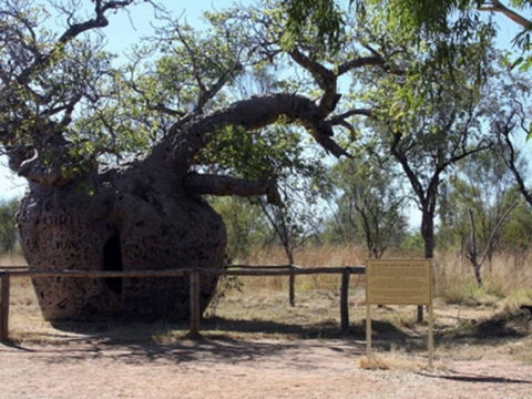 Time Walk, Windjana Gorge National Park - Accommodation Fremantle 2