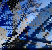 Trees Adventure Nowra Park - Accommodation Fremantle