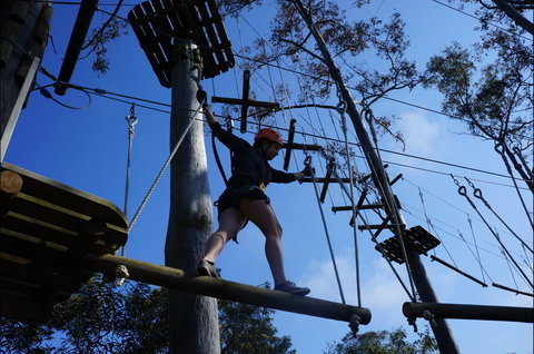 Trees Adventure Nowra Park - Accommodation Fremantle 0