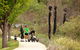 Walcha Sculpture Soundtrail - thumb 1