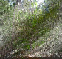Wangaratta Common Nature Conservation Reserve - Accommodation Fremantle