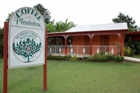 Wombah Coffee Plantation - Accommodation Fremantle 0