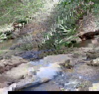 Bomaderry Creek Regional Park - Accommodation Fremantle