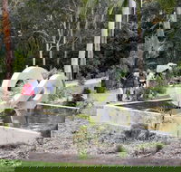 Maroochy Regional Bushland Botanic Garden - Accommodation Fremantle