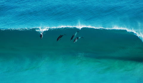 Sand Patch - Accommodation Fremantle 1