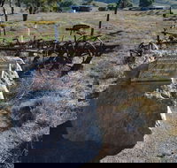 Wangaraleednie Monument  Ruins - Accommodation Fremantle