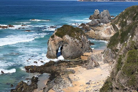 Narooma And Tilba Valley Private Tour - Accommodation Fremantle 8