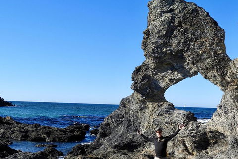 Narooma And Tilba Valley Private Tour - Accommodation Fremantle 4