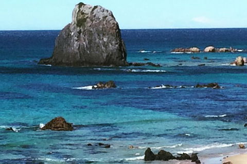 Narooma And Tilba Valley Private Tour - Accommodation Fremantle 9