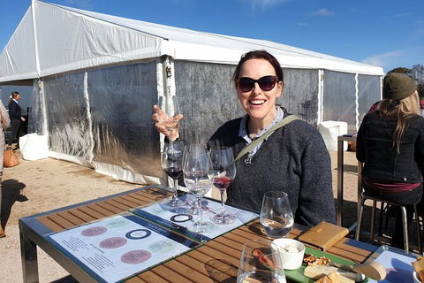 Motorcycle & Sidecar Wine Tasting Tour - Accommodation Fremantle 6