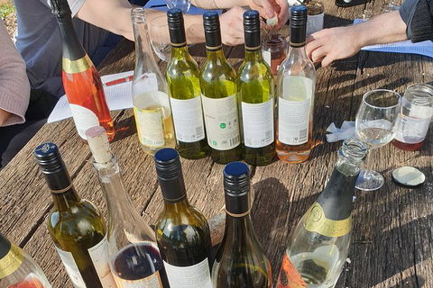 Motorcycle & Sidecar Wine Tasting Tour - Accommodation Fremantle 1