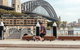 The Beauty Of Sydney Private Bike Tour - thumb 5