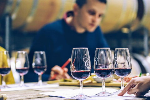 Taste Of The Highlands: Pinot Masterclass And Gourmet Lunch With Wine Pairings - Accommodation Fremantle 2