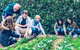 Taste Of The Highlands: Pinot Masterclass And Gourmet Lunch With Wine Pairings - thumb 10