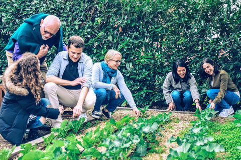 Taste Of The Highlands: Pinot Masterclass And Gourmet Lunch With Wine Pairings - Accommodation Fremantle 10