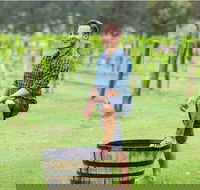 Hunter Valley Grape Stomping - Accommodation Fremantle