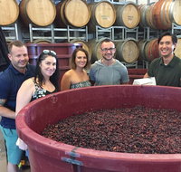 Hunter Valley Small Group Wine Gin Cheese  Chocolate Tour - Accommodation Fremantle