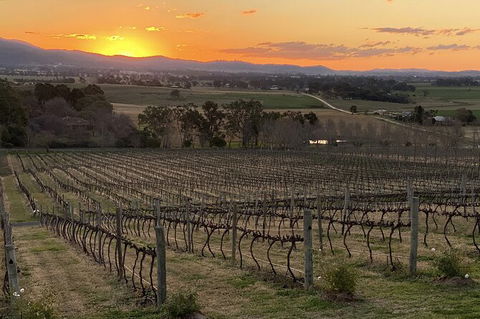 Mudgee 2 Day Private Wine Tasting And Sightseeing Tour From Sydney - Accommodation Fremantle 15