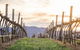 Mudgee 2 Day Private Wine Tasting And Sightseeing Tour From Sydney - thumb 5