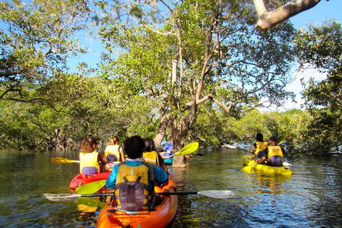 2-Hour Rental Kayak Double In Brunswick River - Accommodation Fremantle 2