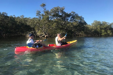 2-Hour Rental Kayak Double In Brunswick River - Accommodation Fremantle 4