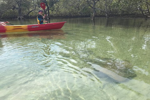 2-Hour Rental Kayak Double In Brunswick River - Accommodation Fremantle 6