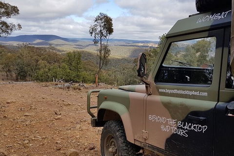 Ninety Minute Wombat Adventures Guided Tour - Accommodation Fremantle 1