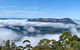 Taste Of The Blue Mountains - Lunch & Wine Tasting, Beer, Cider & Gin Tasting - thumb 3