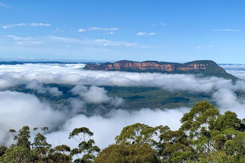 Taste Of The Blue Mountains - Lunch & Wine Tasting, Beer, Cider & Gin Tasting - Accommodation Fremantle 3