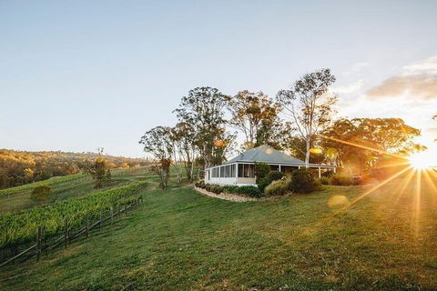 Taste Of The Blue Mountains - Lunch & Wine Tasting, Beer, Cider & Gin Tasting - Accommodation Fremantle 6