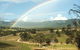 Taste Of The Blue Mountains - Lunch & Wine Tasting, Beer, Cider & Gin Tasting - thumb 2