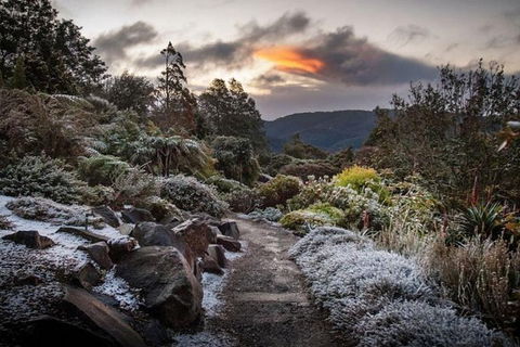 Blue Mountains Botanic Garden And Bilpin Tour From Katoomba With Cider Tasting - Accommodation Fremantle 2
