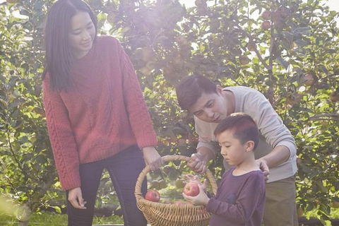 Blue Mountains Botanic Garden And Bilpin Tour From Katoomba With Cider Tasting - Accommodation Fremantle 1
