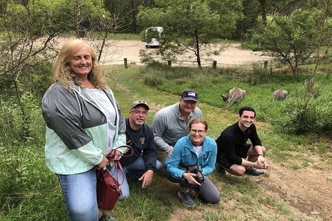 Full-Day Guided Tour Of Blue Mountains With Pick Up - Accommodation Fremantle 2