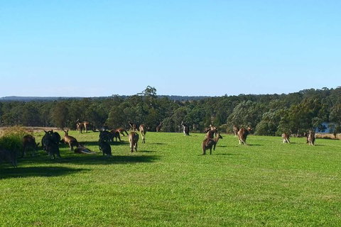 The Hunter Valley 2-day Food And Wine Tour With Hot Air Balloon - Accommodation Fremantle 10