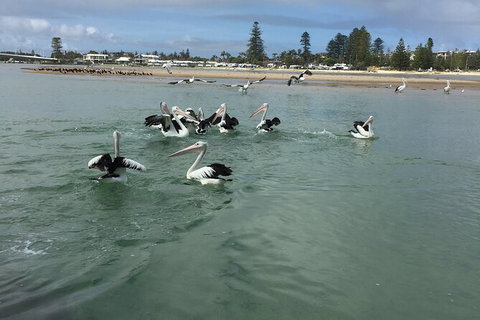 The Hunter Valley 2-day Food And Wine Tour With Hot Air Balloon - Accommodation Fremantle 1