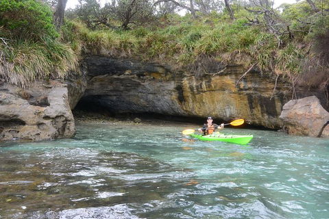 Half-Day Jervis Bay Sea Kayak Tour - Accommodation Fremantle 8
