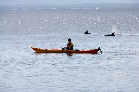 Half-Day Jervis Bay Sea Kayak Tour - Accommodation Fremantle 4