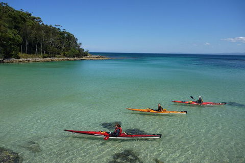 Half-Day Jervis Bay Sea Kayak Tour - Accommodation Fremantle 3