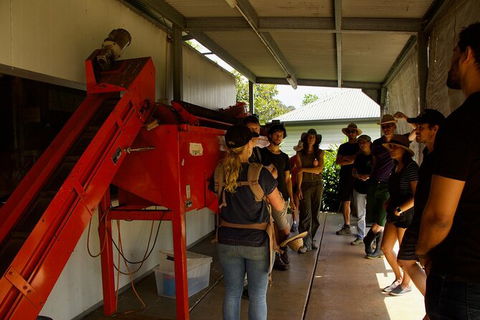 Pecan Farm Tour And Workshop, Byron Bay Hinterland - Accommodation Fremantle 4
