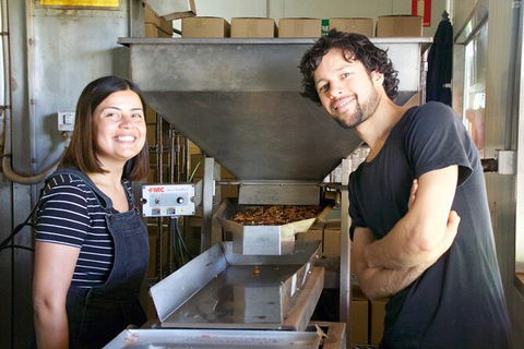 Pecan Farm Tour And Workshop, Byron Bay Hinterland - Accommodation Fremantle 7
