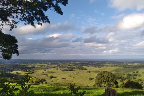 Pecan Farm Tour And Workshop, Byron Bay Hinterland - Accommodation Fremantle 1