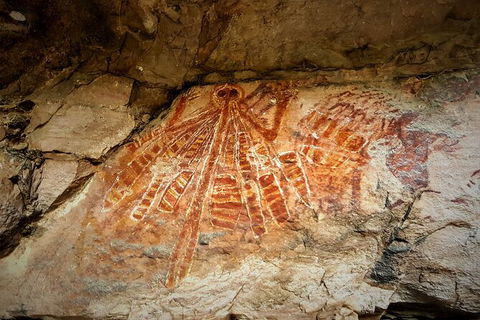 Arnhem Land Injalak Hill Full-Day Tour From Darwin - Accommodation Fremantle 1