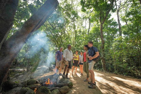 Aboriginal Cultural Daintree Rainforest Tour From Cairns Or Port Douglas - Accommodation Fremantle 3