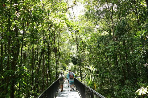 Aboriginal Cultural Daintree Rainforest Tour From Cairns Or Port Douglas - Accommodation Fremantle 4