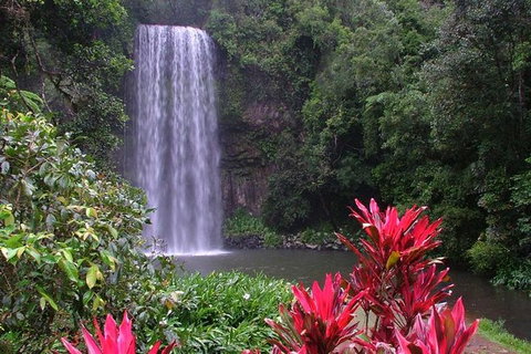 The Original Day Tour To Paronella Park, Lake Barrine And Millaa Millaa Falls - Accommodation Fremantle 0
