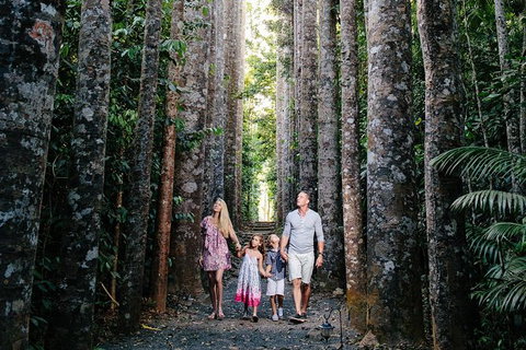 The Original Day Tour To Paronella Park, Lake Barrine And Millaa Millaa Falls - Accommodation Fremantle 14